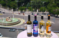 La Cibeles testigo de la presentación de los excelentes vinos de las Bodegas Palacio de Bornos como en las mejores celebraciones