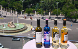 La Cibeles testigo de la presentación de los excelentes vinos de las Bodegas Palacio de Bornos como en las mejores celebraciones