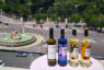 La Cibeles testigo de la presentación de los excelentes vinos de las Bodegas Palacio de Bornos como en las mejores celebraciones