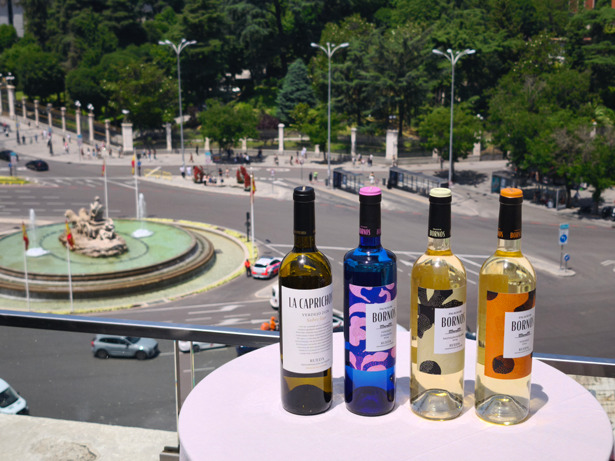 La Cibeles testigo de la presentación de los excelentes vinos de las Bodegas Palacio de Bornos. Foto: © patrimonioactual.com