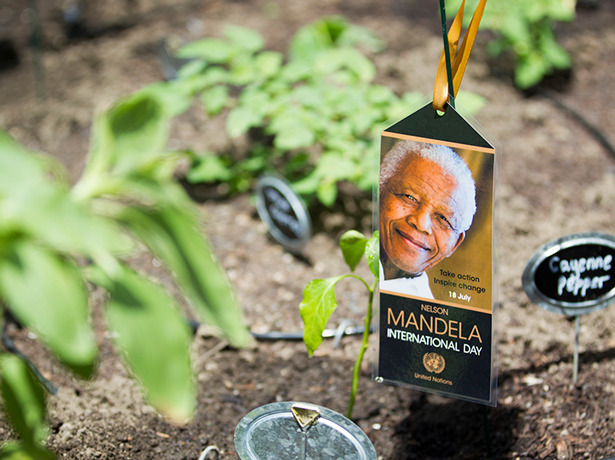 Legado de Nelson Mandela