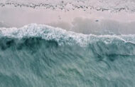 Tsunami en el Pacífico: el sistema de alerta de la UNESCO demuestra una vez más su eficacia