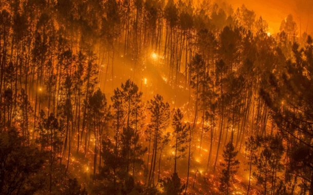 Negar la realidad no la hace desaparecer: olas de calor, incendios y sequías en Europa irán en aumento