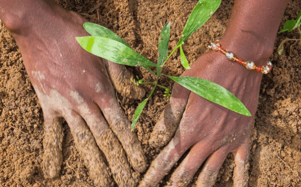 La degradación de la tierra cuesta al mundo casi un billón de dólares al año