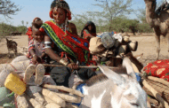COP17. La UNESCO centra su atención en el agua, la restauración de la tierra, los medios de subsistencia y el pastoreo