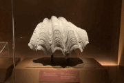 Tejido por el mar: museos del sudeste asiático y una visión de patrimonio compartido