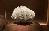 Tejido por el mar: museos del sudeste asiático y una visión de patrimonio compartido