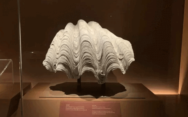 Tejido por el mar: museos del sudeste asiático y una visión de patrimonio compartido