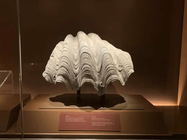 Museo Nacional de Bangkok, Departamento de Bellas Artes de Tailandia