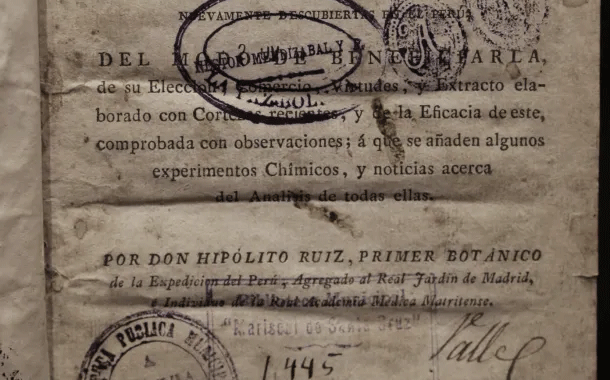 Memoria del Mundo, lenguas indígenas y el derecho de los pueblos a narrar su propia historia: Donde las voces del pasado vuelven a escucharse