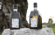 La Unión Europea registra la nueva Denominación de Origen Protegida aceite Valle del Tiétar
