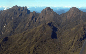 Cómo la formación profesional de la UNESCO para jóvenes contribuye a salvaguardar los bosques del Patrimonio Mundial de Madagascar
